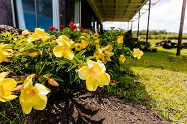 Hiku ote Ika Tiny Home