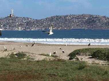 Sector Enjoy Premium Frente al Mar