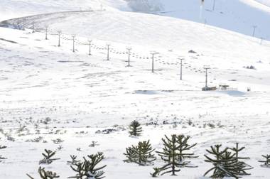 Cabañas Newenpüllü