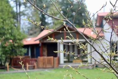 El Rincon de la Olguita