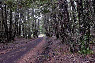 Refugio de Montaña Kultrun Mawida habitación