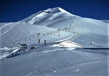Cabañas en Malalcahuello