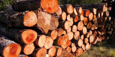 Refugio Simple Sur Casa 6 personas