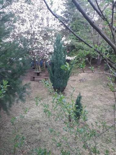 Nido del Quetrupillan