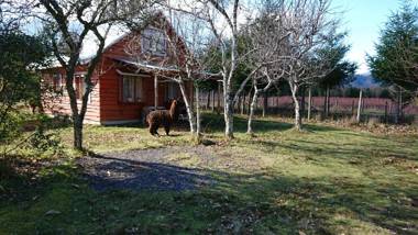 Coñaripe Kuyen Mapu Cabañas