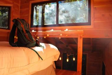 Cabañas Bosque Milenario