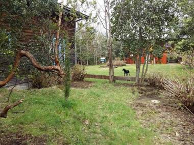 Pudomo cabin in Coñaripe - with exclusive hot tub