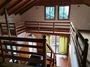 Pudomo cabin in Coñaripe - with exclusive hot tub