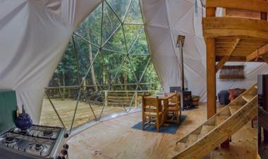 Cabañas Ensenada Bosque Nativo