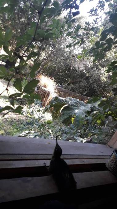 Hotel Patagonia Truful