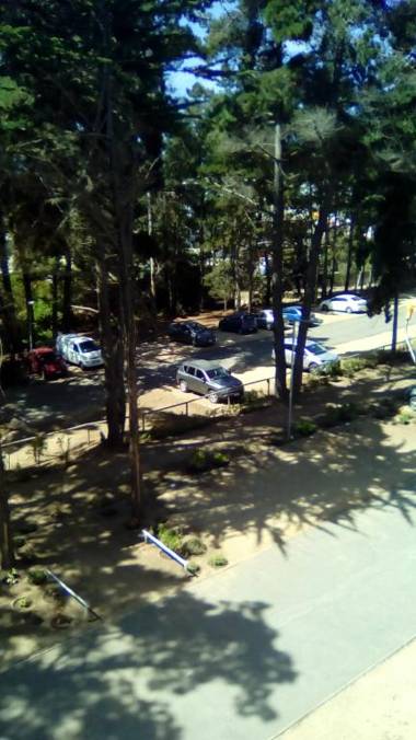 Departamento Bosques del Tabo