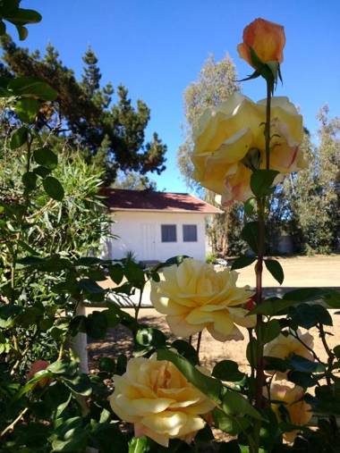 Cabaña Mi Querencia