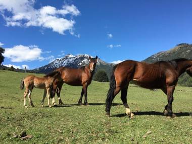 Antulmo Cabañas & Lodge