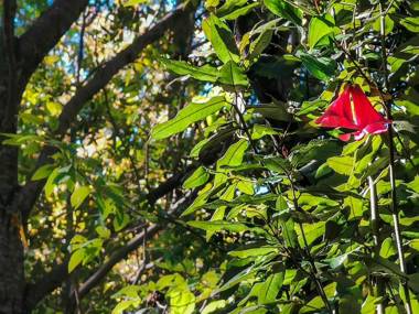 Salto del Indio - Cabañas Lemunantu