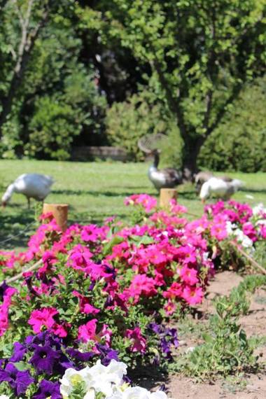 Alojamiento Rural Casa Quinta Peumayen