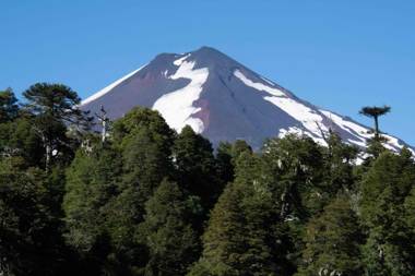 Cabaña Fio-Fio Conguillio National Park