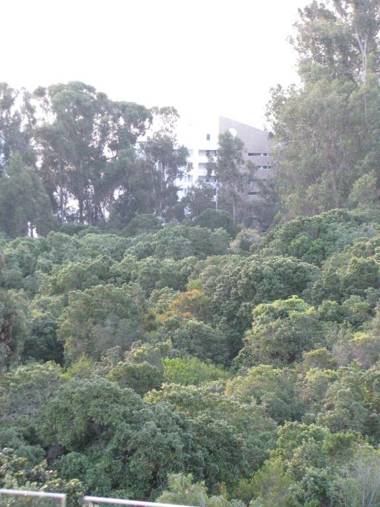 Departamento Costa Puyai II 751