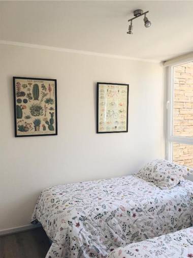 Entre Playa y Bosque Papudo