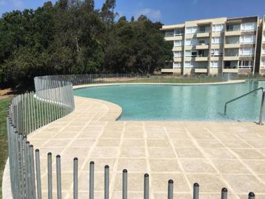 Lomas de Papudo 3 Bosque y Playa