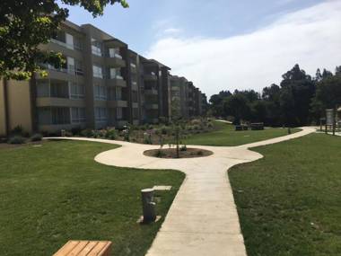 Lomas de Papudo 3 Bosque y Playa