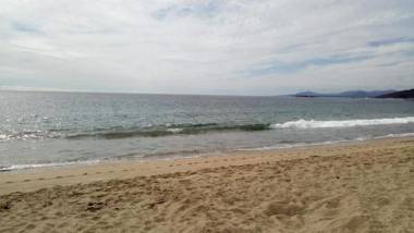 Bosque Playa Lomas de Papudo 3