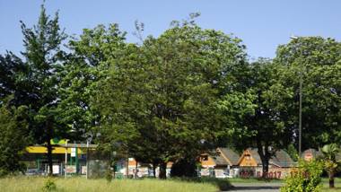 Bosque Valdiviano Apartment