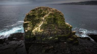 Surf Lodge Punta de Lobos
