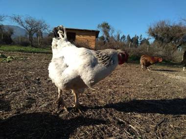 Eco Parcela La Chacra