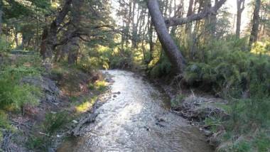 La Ruta de Los Volcanes - Las Trancas Chillán