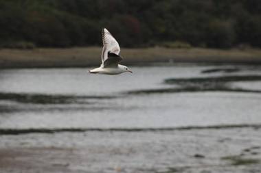 Palafito 1326 Hotel Boutique