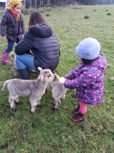 Agroturismo los Colihues