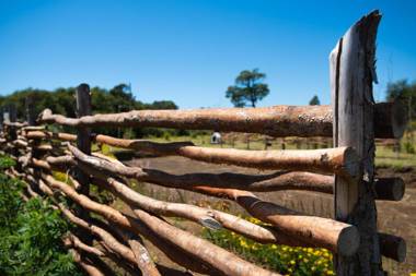 Cabañas ChiloeisLife Countryside