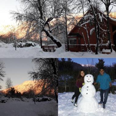 Cabañas Tronco Mayen