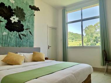 Tulou Panda Homestay