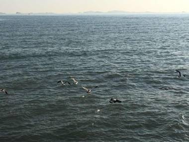 Golden Gulf Hotel Yantai