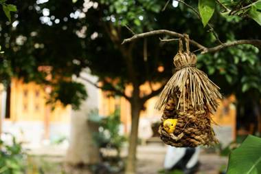 Nirvana Organic Farm Inn