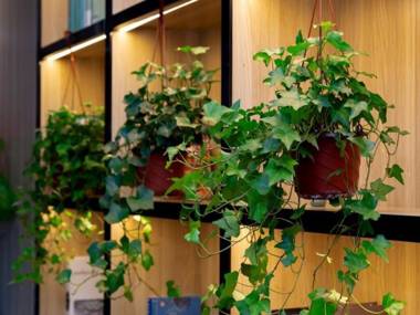 Shell Hotel Xi'an Yanta District Jixiang Village Metro Station