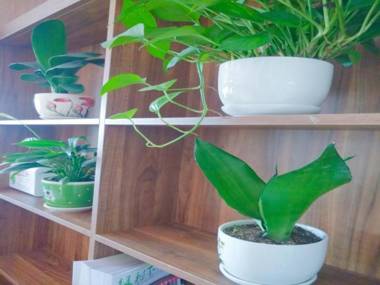 Shell Hotel Wuxi Jiangyin Yungu Road