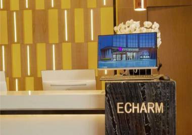 Echarm Hotel Wuhan Caidian Street