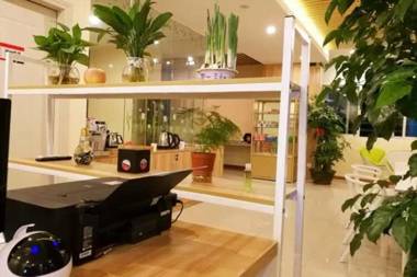 The Olive Tree Capsule Hostel