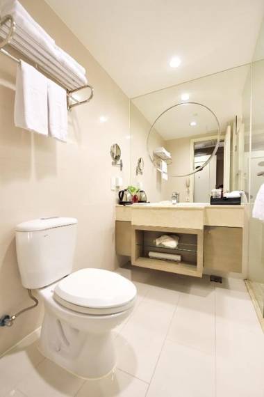 Metropolo Classiq Shanghai YMCA-People square