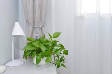 Wanting Boutique Hotel