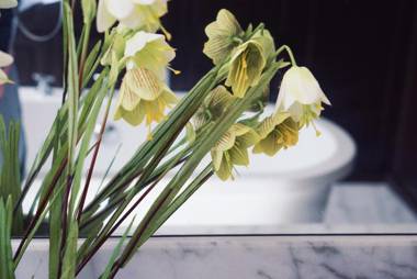 Hills Boutique Guesthouse