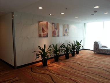 Shanghai Joyful Star Wanxia Hotel(Pudong Airport/Disney/Free Trade Zone)
