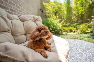 voco Nanjing Garden Expo an IHG Hotel