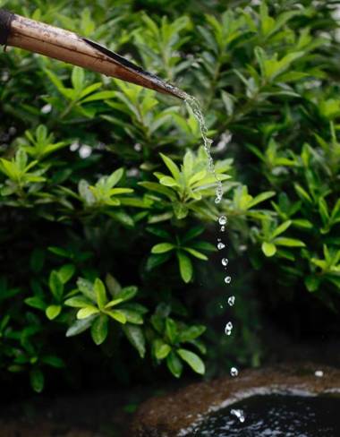 Hangzhou Shange Laolongjing Hotel