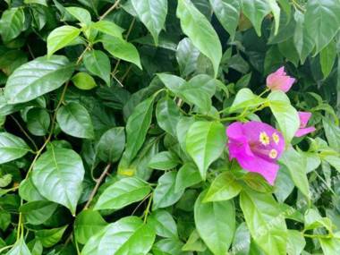 Hangzhou Airport Minghang Hostel