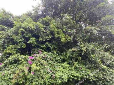 Hangzhou Airport Minghang Hostel