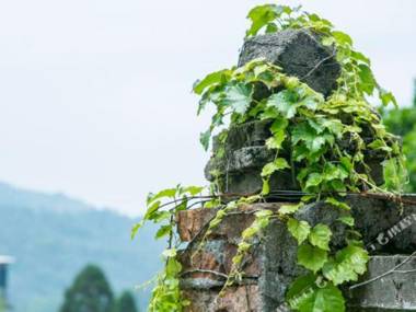 Fuzhou Guling Happy Mountain Villa