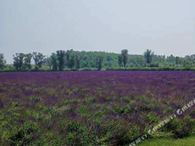Liangyun Hot Spring Hotel